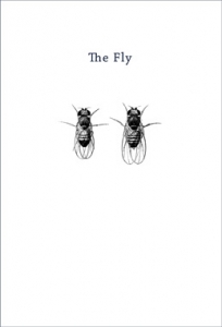 The_Fly_Jakob_Lobrer